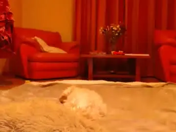 Free Live Porn with andrasweetie - Chaturbate