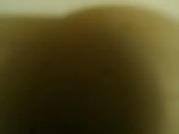 Adult Video Chat with bzxxbzh - Chaturbate