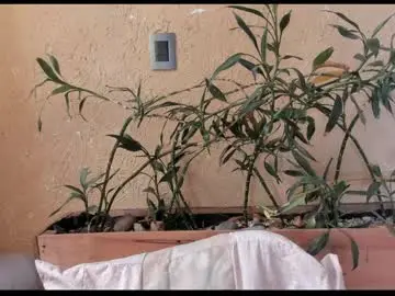 Adult Video Chat with skinnybody_ - Chaturbate