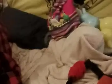 Free Porn Cam with willbarringer12 - Chaturbate