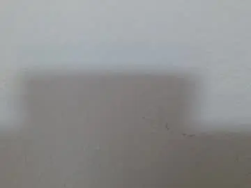 Free Porn Cam with scarlet378580 - Chaturbate