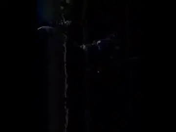 Sex Cam with satisfactionguarunteed69 - Chaturbate