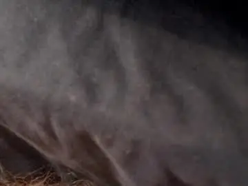 Free Live Porn with jasoncummings - Chaturbate