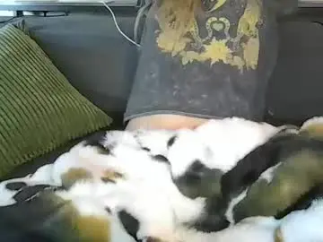 Live Sex Cam with alliebearx - Chaturbate