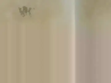 Adult Webcam with sexy_petitqueen - Chaturbate