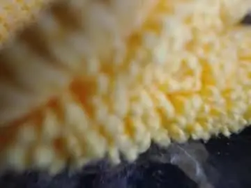 Adult Video Chat with neversaynevertoalways - Chaturbate