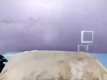 Sex Cam with innocent_mannu - Chaturbate