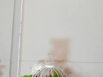 Best Webcam with jake_miller__ - Chaturbate