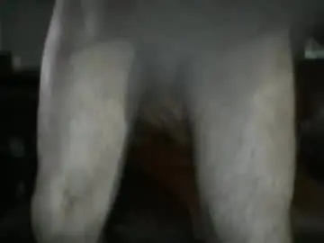 Free Porn Cam with assholeslut9000 - Chaturbate