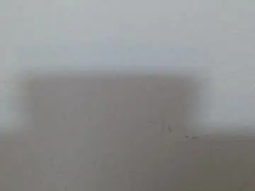 Live Sex with scarlet118082 - Chaturbate