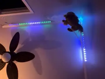 Best live sex cam show with firsttime_freak - Chaturbate
