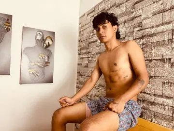 Best Webcam with bracth1 - Imlive