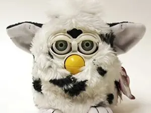 Live Sex Cam with TestCam97 - Myfreecams