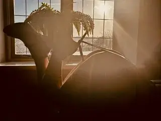 Best live sex cam show with KatieCarterX - Streamate