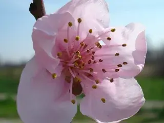 Sex Cam with Sognox - Streamate