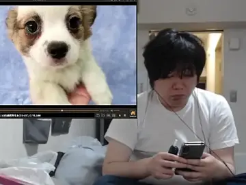 Adult Webcam with raterate555 - Stripchat