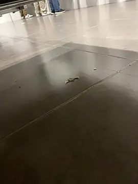 Best live sex cam show with TheKingThiago - Stripchat