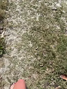 Watch Live Sex Cams with TiffaneyLove - Stripchat