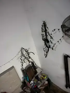 Best live sex cam show with alicetgirlbr - Stripchat