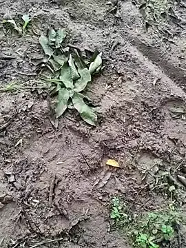 Live Porn with shaoshao-7758 - Stripchat