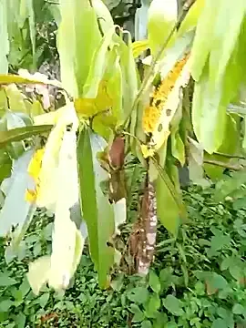 Adult Webcams with him220 - Stripchat