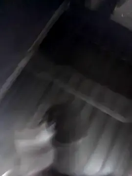 Best live sex cam show with Dilis22 - Stripchat