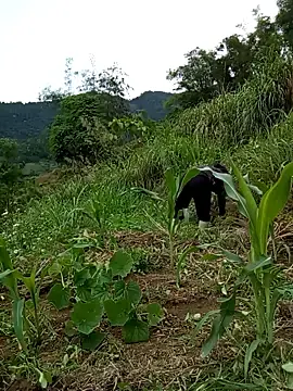 Best live sex cam show with Nga_x9 - Stripchat