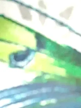 Adult Webcam with Levarboy - Stripchat