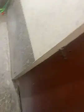 Adult Video Chat with dashingdih - Stripchat