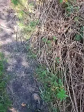 Live Sex with FreezingTie850 - Stripchat