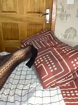 Best Webcam with Bellabootie - Stripchat