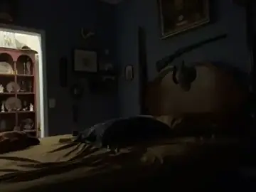 Sex Cam with Countrypnp13 - Stripchat