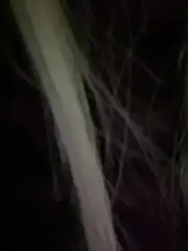 Live Sex with AlyssaFoxx_ - Stripchat