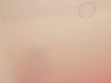 Sex Chat with FerAlvax - Stripchat